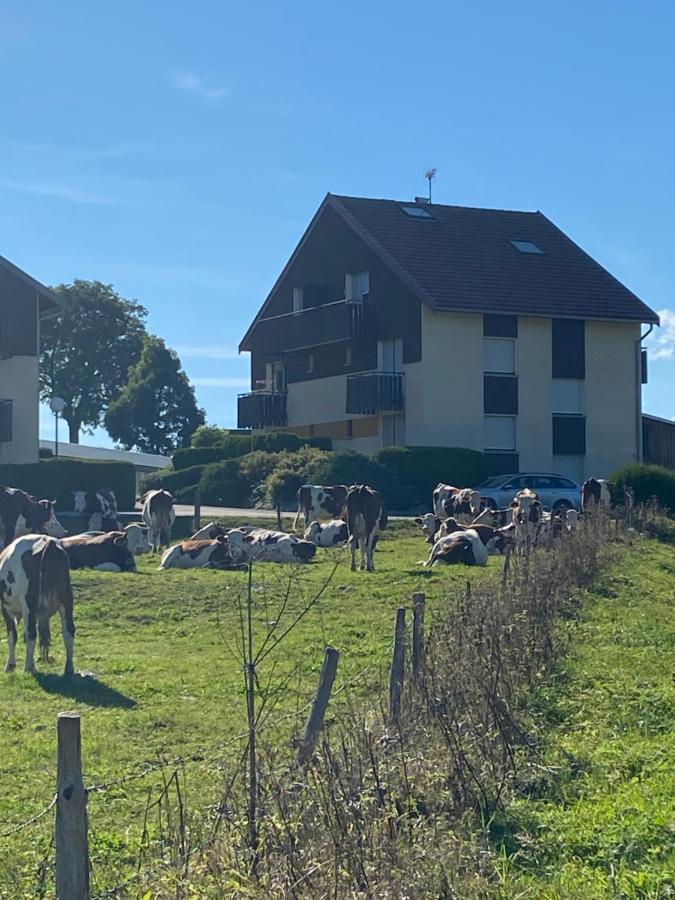 Chez Jeremy - Appartement De Edmond Les Villedieu (Doubs) ภายนอก รูปภาพ